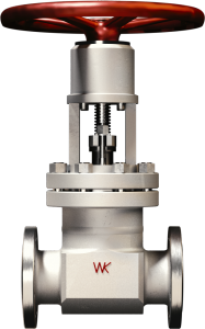 ZS40 DN 80 valve