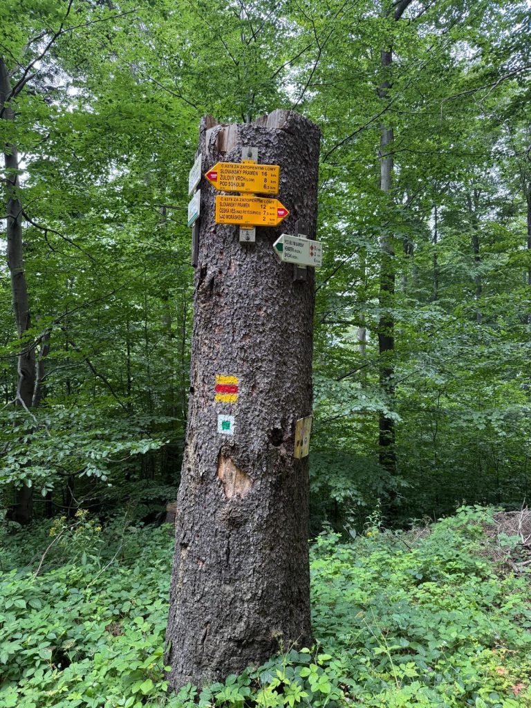 WAKMET na dwóch kółkach Edycja 6